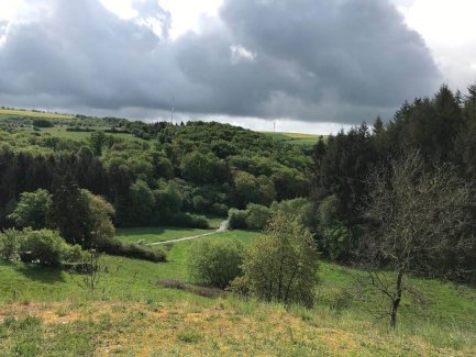 Moderne Wohnung mit Garten und tollem Blick ins Grüne in Trier-Kernscheid  Zuschuß von Euro 26.250  Trier 54296