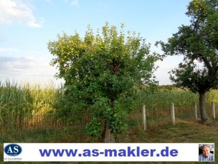 *Tierfreunde* ca. 16.285 qm Grundstück mit Haus zu verkaufen! Stemwede 32351