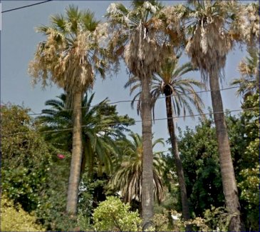 ***Investitionsobjekt: Ehemalige Klinik in San Remo, zur Erstellung von Wohneinheiten mit Meerblick*** Sanremo 18038