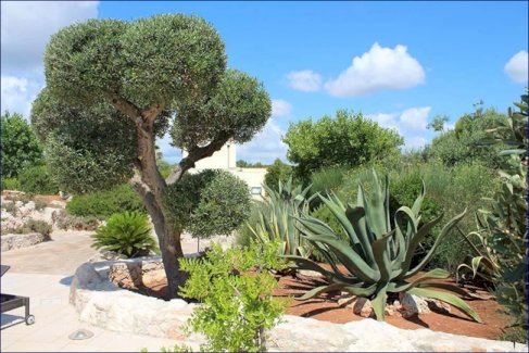 ***Großes Haus zur Nutzung als B&B mit Schwimmbädern und Gartenanlage in Apulia Salento Masseria*** Lido Marini 73059 - Immolocal.de