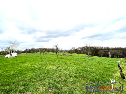 Grundstück zur Bebauung Neunkirchen-Seelscheid 53819 - Immolocal.de